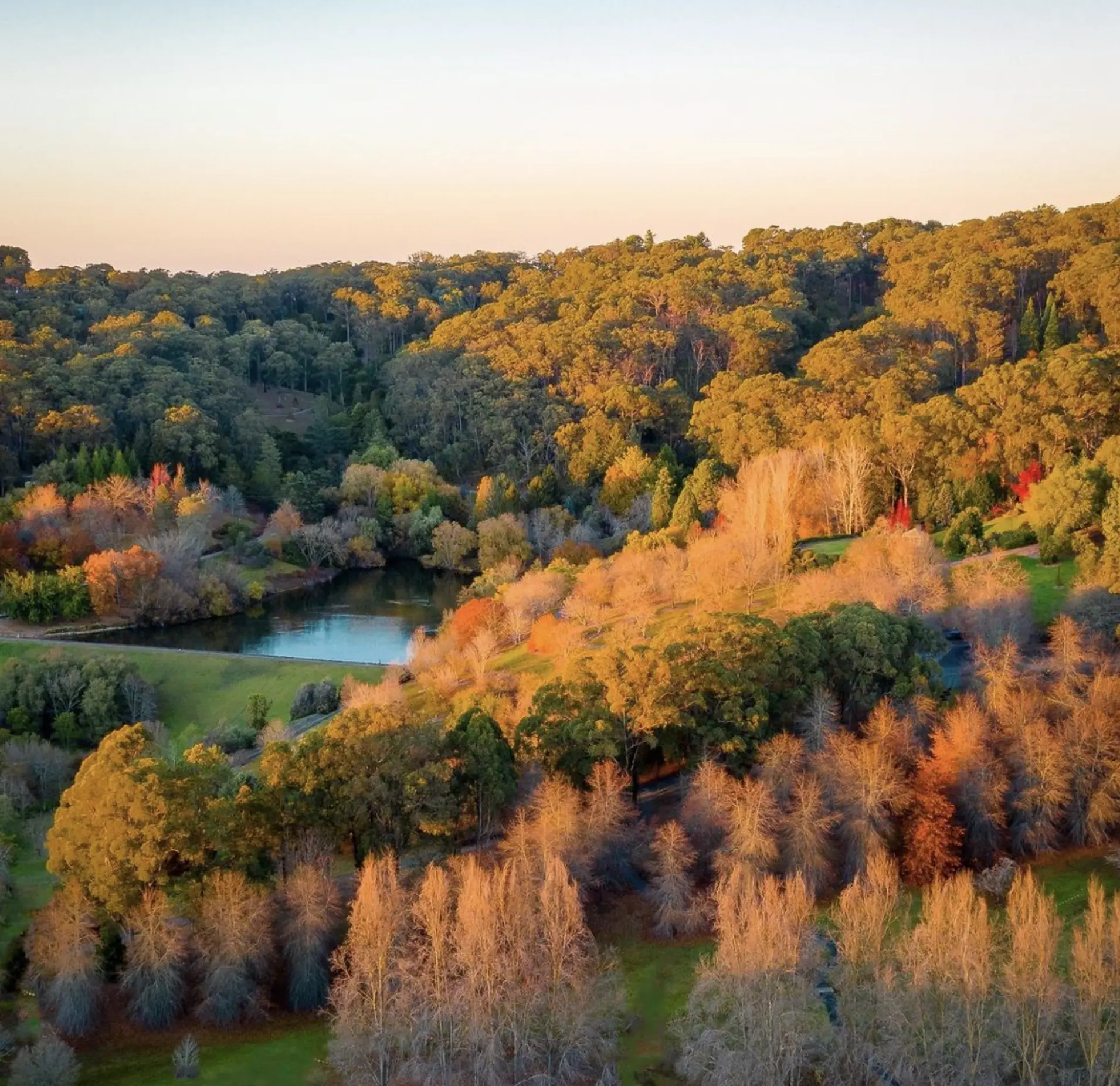 Adelaide Hills