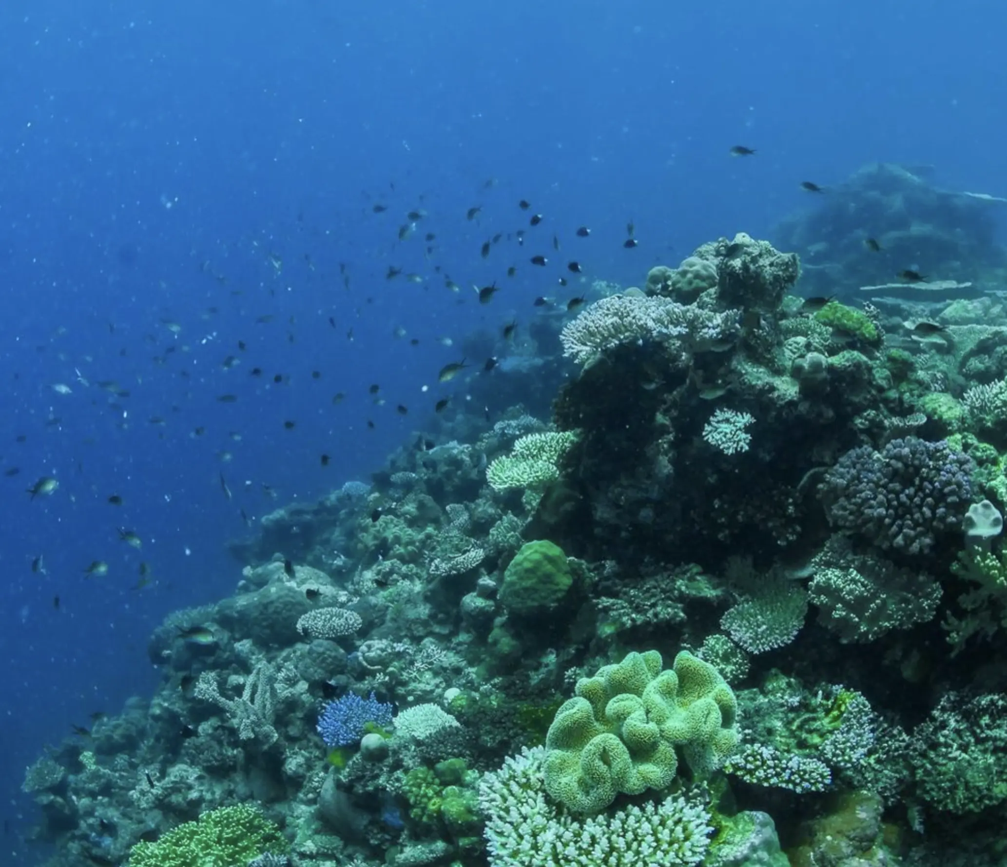 Great Barrier Reef tourism