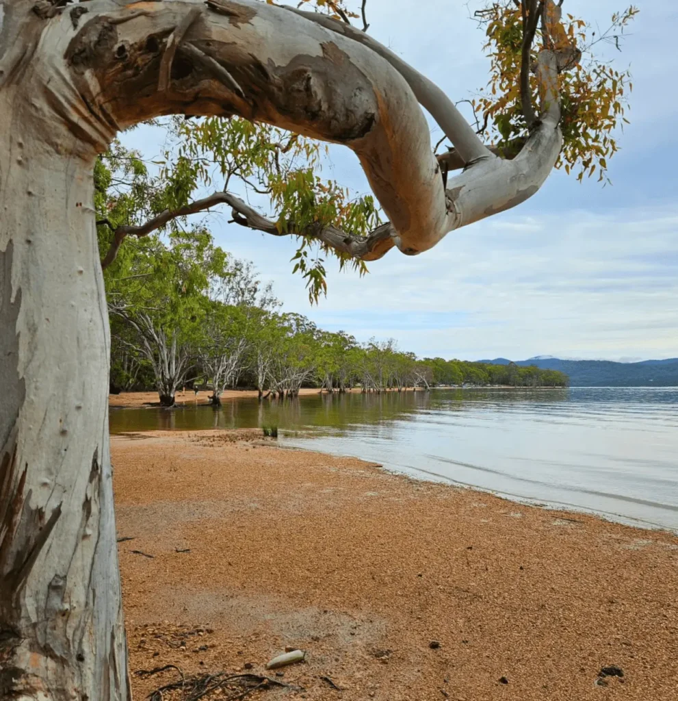 Lake Gippsland