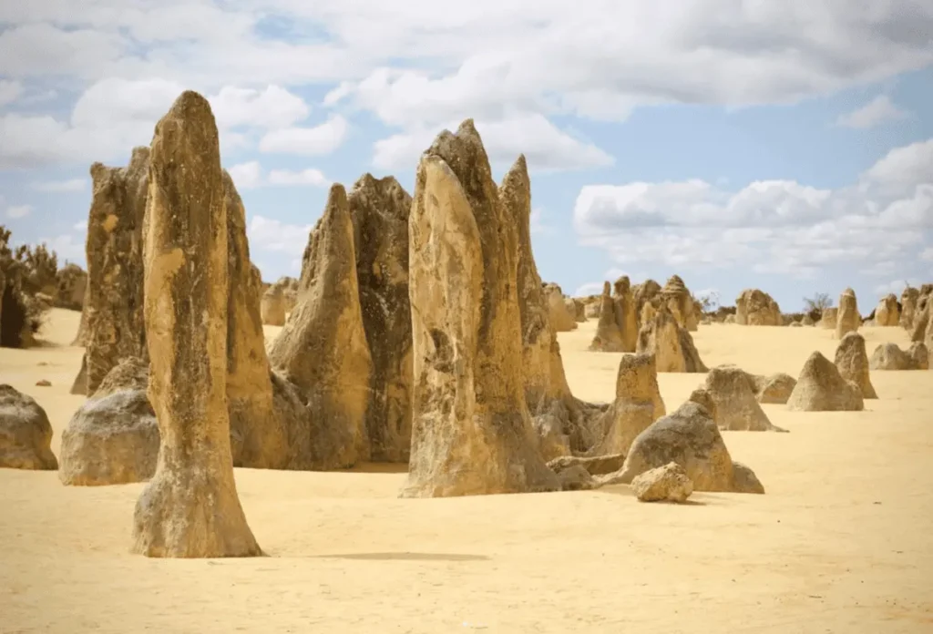 The Pinnacles Desert